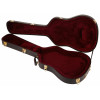 Godin Case Multiac Jazz Steel Duet Ambiance/Spectrum
