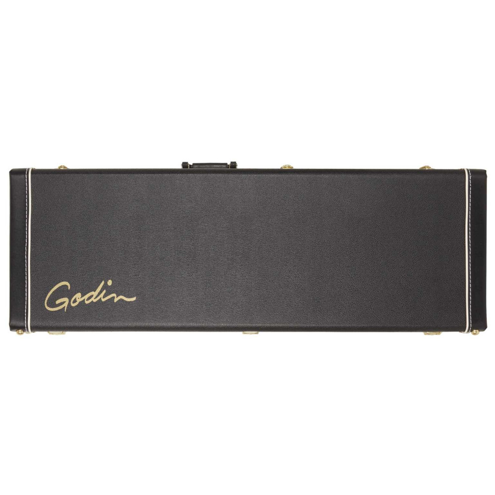 Godin Case Session