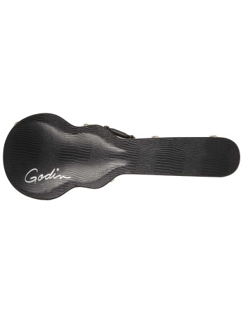 Godin Case Summit/Core