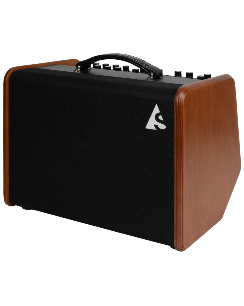 Godin Acoustic Solutions ASG-8 120 Wood