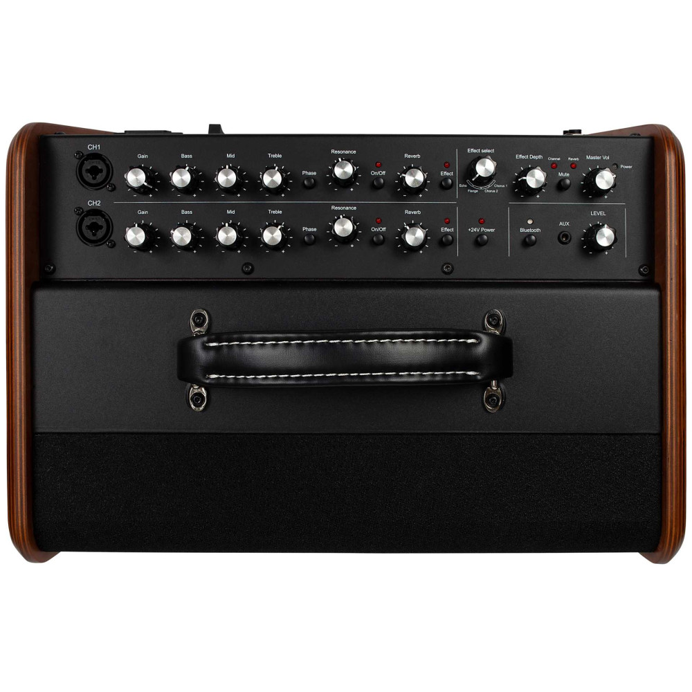 Godin Acoustic Solutions ASG-8 120 Wood