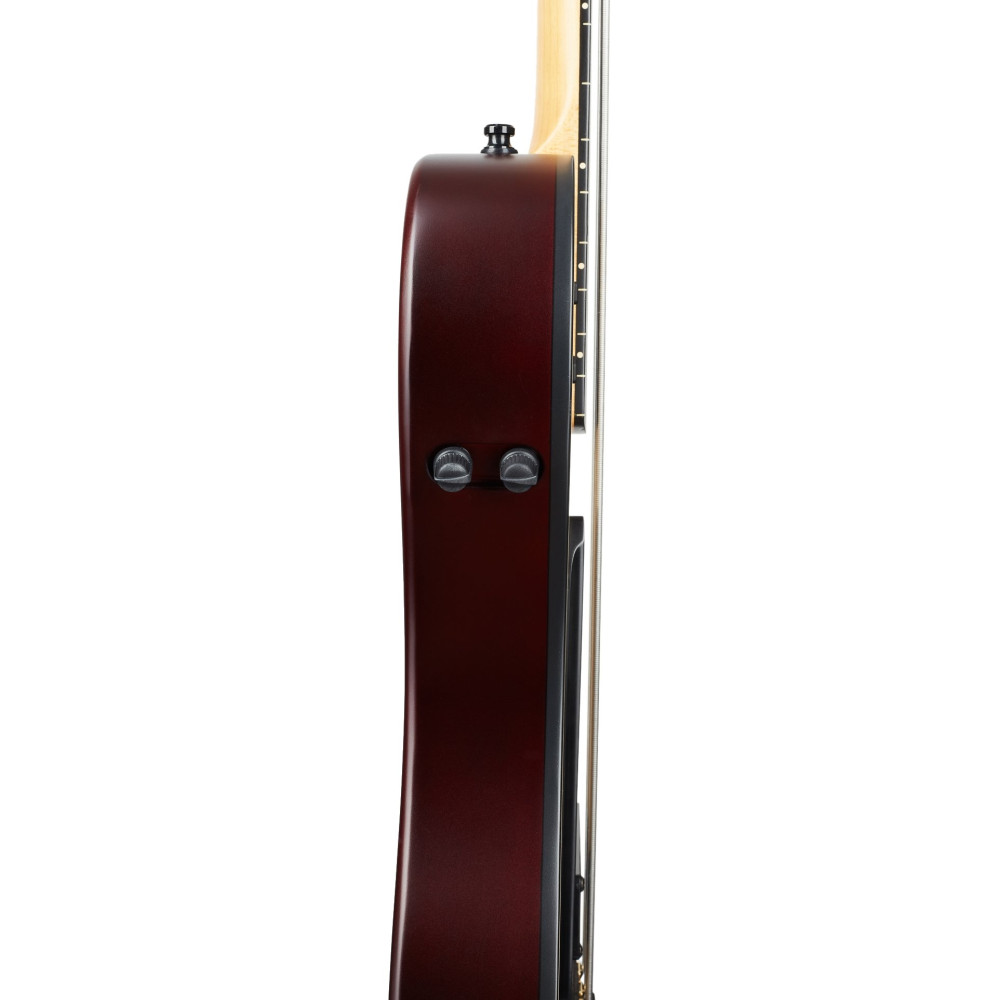 Godin A5 Ultra Natural Fretless A/E with Bag