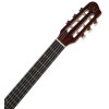 Godin Multiac Nylon Deluxe