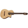 Godin Arena CW Clasica II