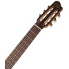 Godin Arena CW Clasica II
