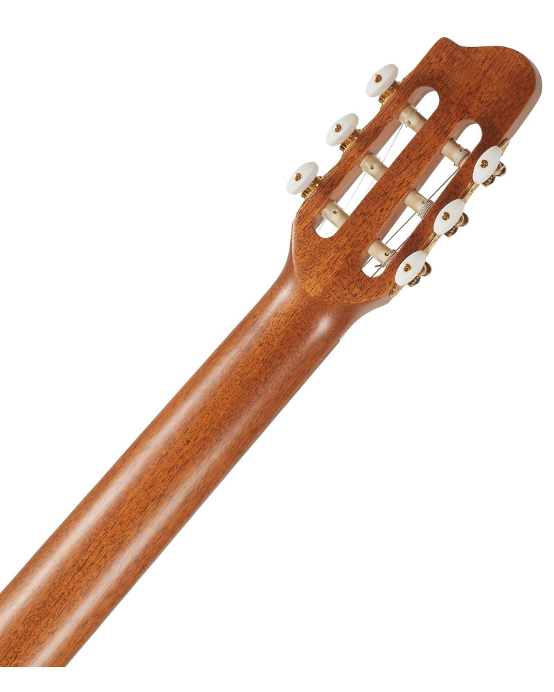 Godin Arena CW Clasica II