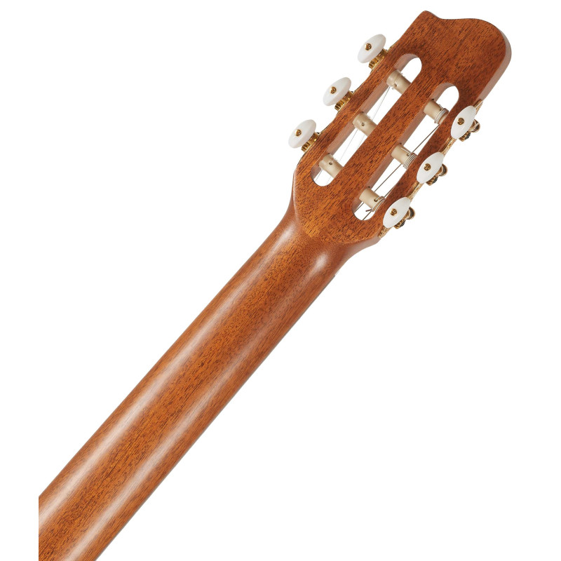 Godin Arena CW Clasica II