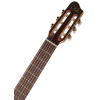 Godin Arena Mahogany CW Clasica II