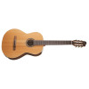 Godin Collection Clasica II