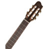 Godin Collection Clasica II
