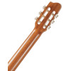 Godin Collection Clasica II