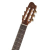 Godin Concert Clasica II