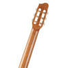 Godin Concert Clasica II