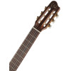 Godin Etude Clasica II