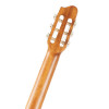 Godin Presentation Clasica II