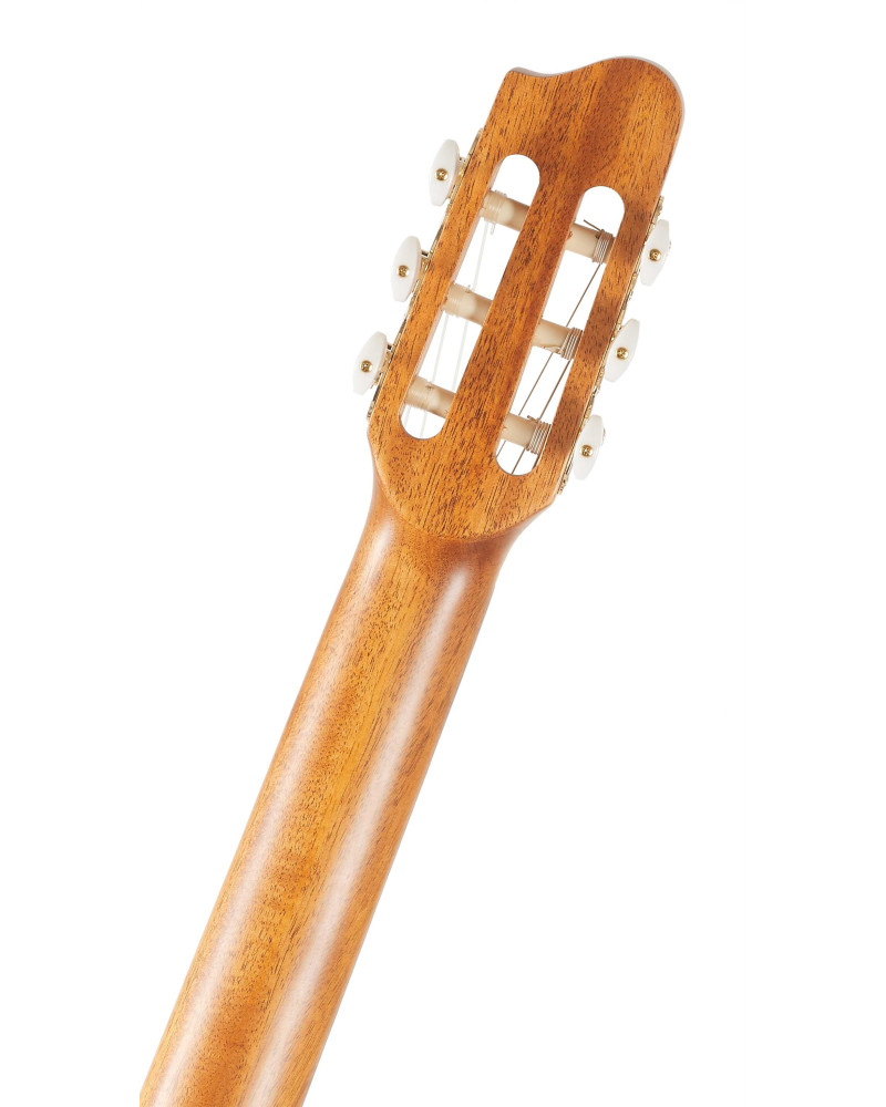 Godin Presentation Clasica II