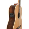 Godin Presentation Clasica II