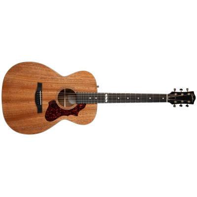 Godin Fairmount Concert Hall Composer EQ