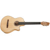 Godin Arena Flame Maple CW Dual Source EQ