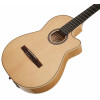 Godin Arena Flame Maple CW Dual Source EQ