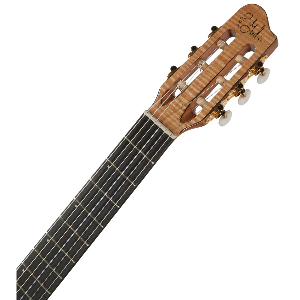 Godin Arena Flame Maple CW Dual Source EQ