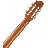 Godin Arena Flame Maple CW Dual Source EQ