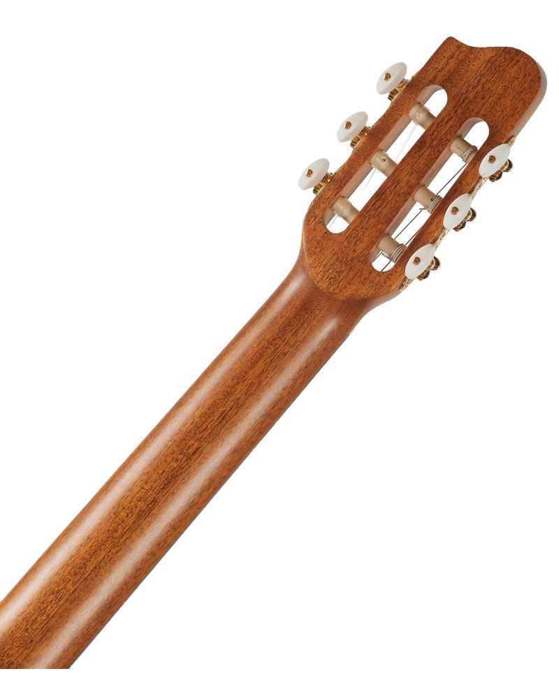 Godin Arena Flame Maple CW Dual Source EQ