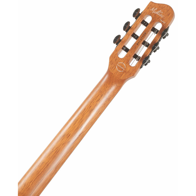 Godin Multiac Mundial Kanyon Burst