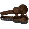 Godin 5th Avenue Case