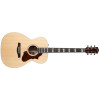 Godin Fairmount CH LTD Rosewood HG EQ