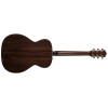 Godin Fairmount CH LTD Rosewood HG EQ