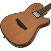 Godin A6 Ultra Deluxe