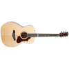 Godin Fairmount CH HG EQ Natural