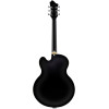 Hagstrom HSVHJ50009 Electric Guitar, Tremar HJ500, Black