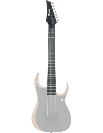 Ibanez 1NK00A0434NTF Neck for RGDR4327R-NTF