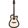 Ibanez 1B-AAM370M1CE Advanced Acoustic AAM Acoustic Guitar 6-String - Transparent Panda High Gloss