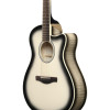 Ibanez 1B-AAM370M1CE Advanced Acoustic AAM Acoustic Guitar 6-String - Transparent Panda High Gloss