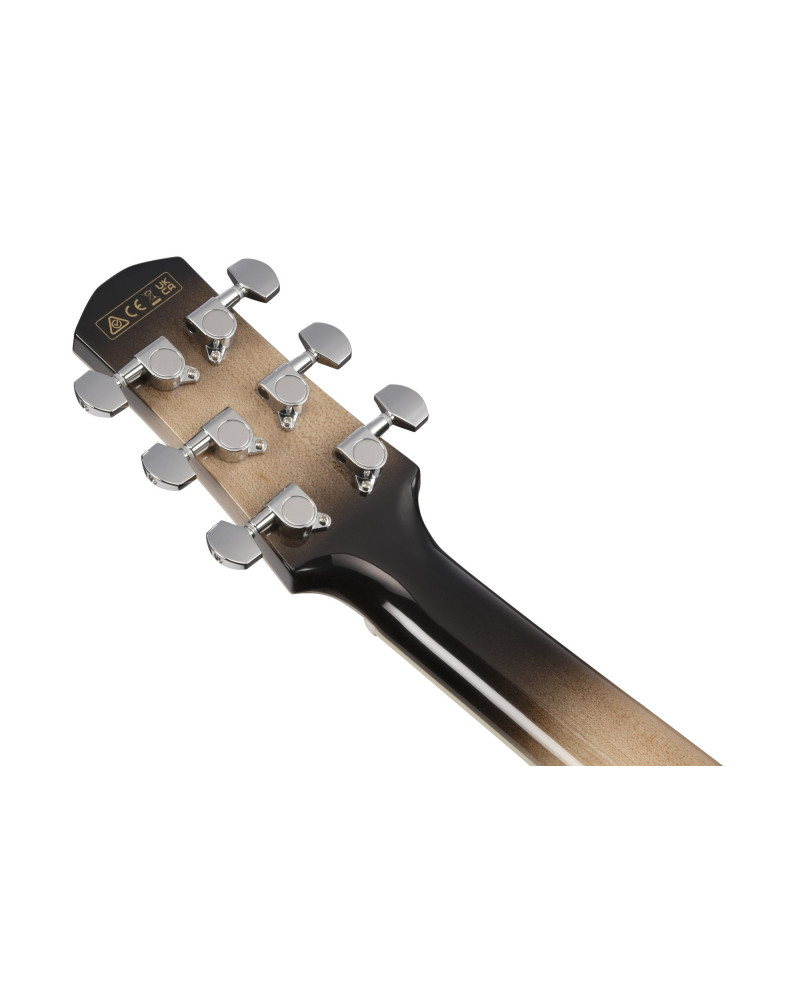 Ibanez 1B-AAM370M1CE Advanced Acoustic AAM Acoustic Guitar 6-String - Transparent Panda High Gloss