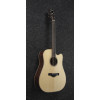 Ibanez 1B-AWFS580CEO Artwood Acoustis Series Dreadnought 6 String - Open Pore Semi Gloss + Case