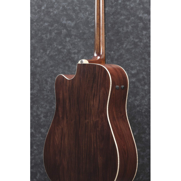 Ibanez 1B-AWFS580CEO Artwood Acoustis Series Dreadnought 6 String - Open Pore Semi Gloss + Case