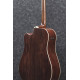 Ibanez 1B-AWFS580CEO Artwood Acoustis Series Dreadnought 6 String - Open Pore Semi Gloss + Case