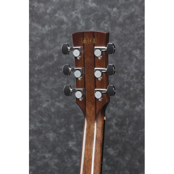 Ibanez 1B-AWFS580CEO Artwood Acoustis Series Dreadnought 6 String - Open Pore Semi Gloss + Case
