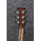 Ibanez 1B-AWFS580CEO Artwood Acoustis Series Dreadnought 6 String - Open Pore Semi Gloss + Case