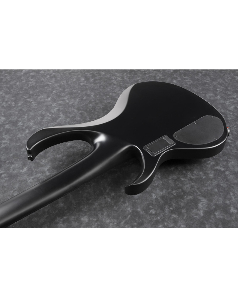 Ibanez 1B-BTB625EXBK Iron Label BTB Electric Bass 5-String - Black Flat