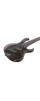 Ibanez 1B-BTB806MSTG BTB Series E-Bass 6 String Multiscale - Transparent Gray Flat + Case