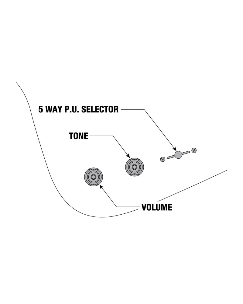 Ibanez FRM300-PR Paul Gilbert Signature Electric Guitar 6-String - Purple + Gig Bag