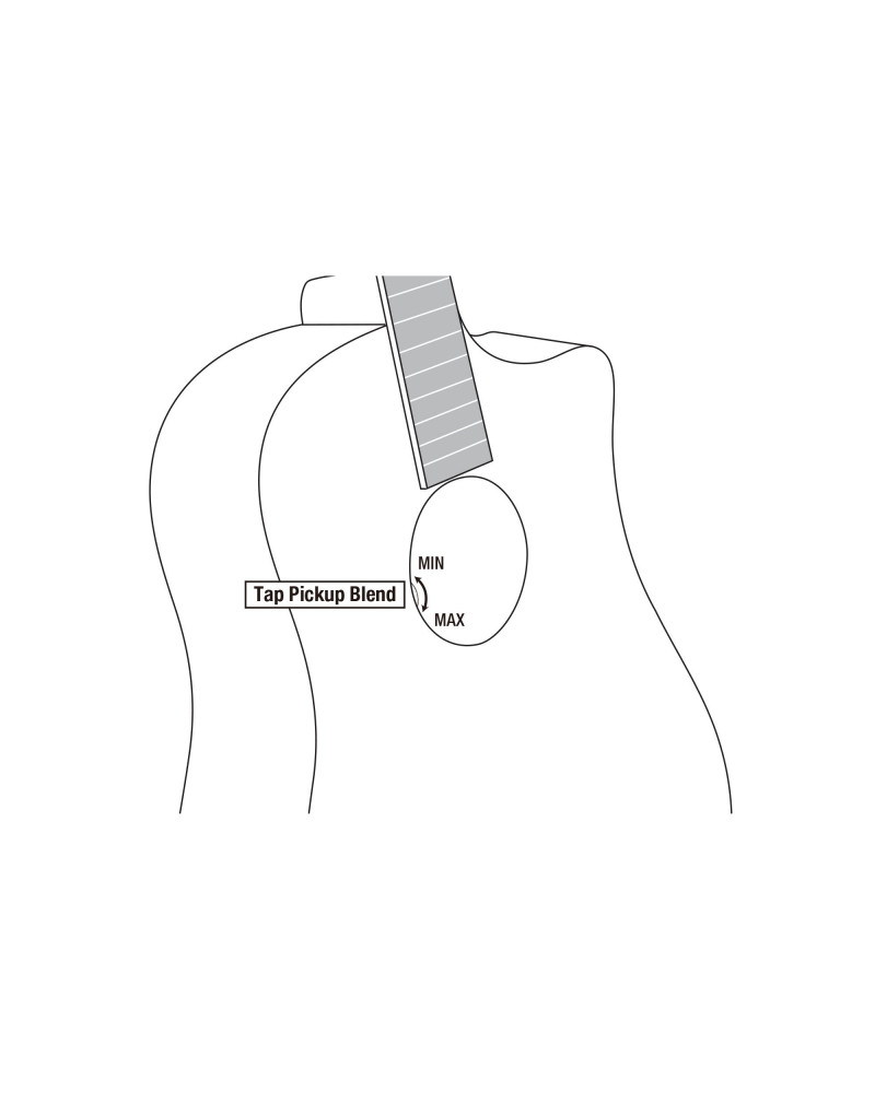 Ibanez JGM5-BSN Jon Gomm Signature Acoustic Guitar 6-String - Black Satin Top / Natural High Gloss Back and Sides + Gig 