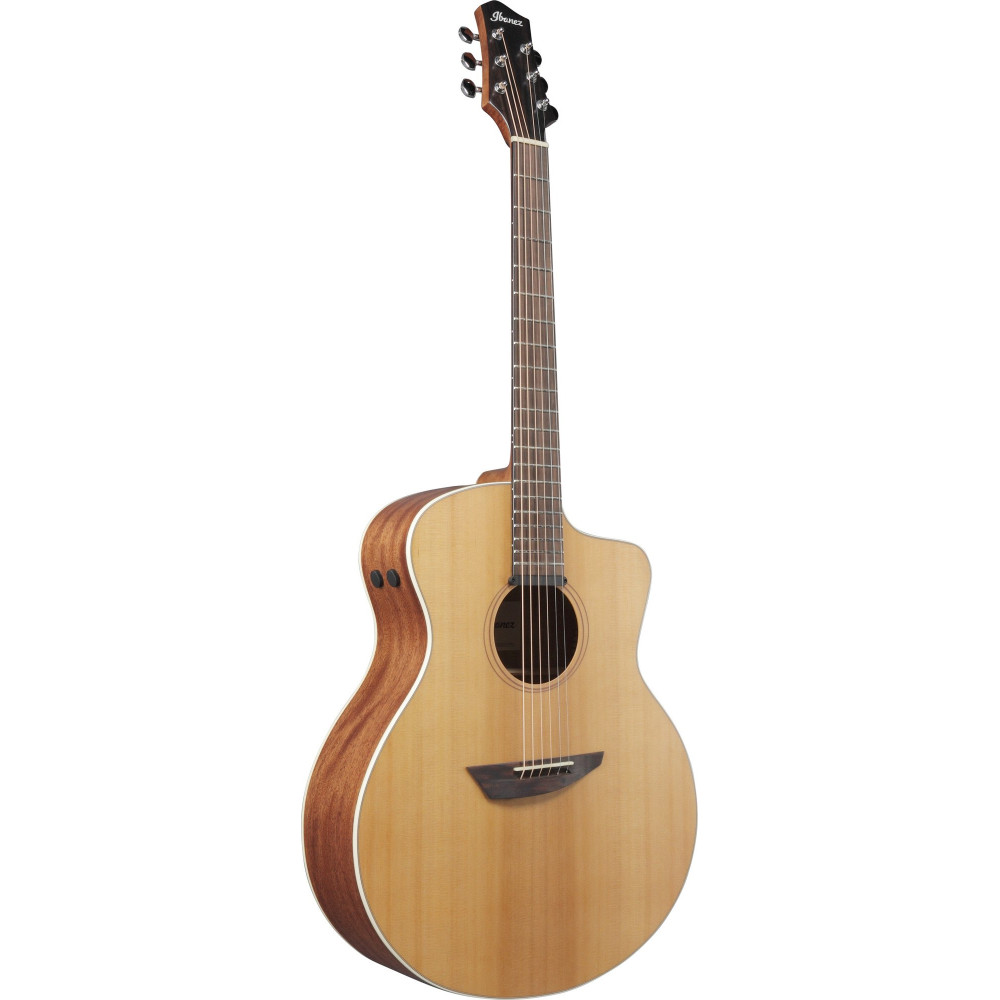 Ibanez 1B-PA230E-NSL Acoustic Guitar - Natural Satin Top / Natural Low Gloss Back and Sides + Bag