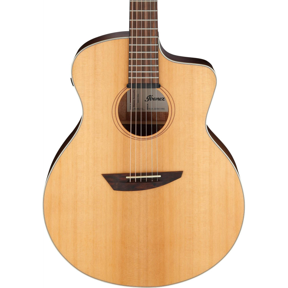 Ibanez 1B-PA230E-NSL Acoustic Guitar - Natural Satin Top / Natural Low Gloss Back and Sides + Bag