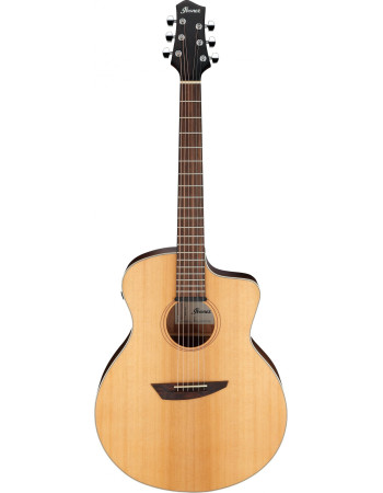 Ibanez 1B-PA230E-NSL Acoustic Guitar - Natural Satin Top / Natural Low Gloss Back and Sides + Bag